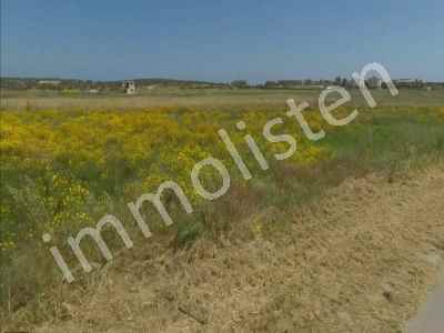 Ackerland Kaufen In  Zypern, Kktc Iskele, Iskele, Bafra , 6020 m2