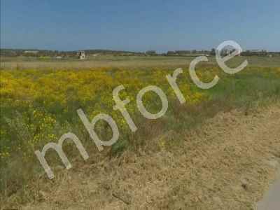 Field For Sale in  Cyprus, Kktc Iskele, Iskele, Bafra , 6020 m2