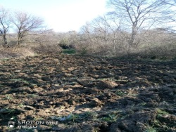 Gölpazarı Söğütcük Köyü Satılık Tarla 439 M2