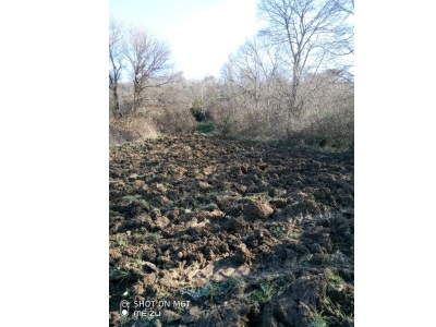 Bilecik Gölpazarı Söğütcük 439 M² Konut İmarlı Arsa Satılık Tarla Köyü