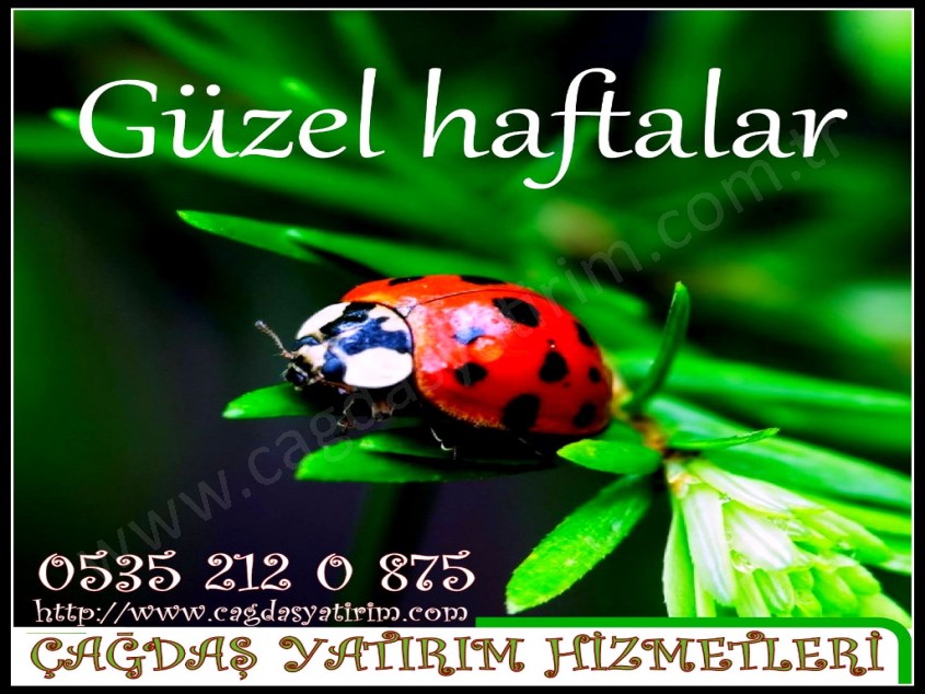 ÇAĞDAŞ TAN SATILIK GENÇ BİNA DA 3+1 DAİRE