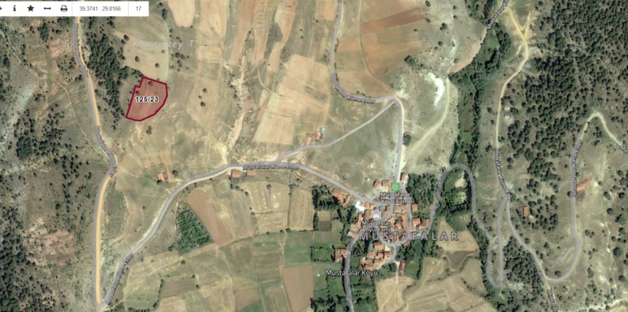 Mustafalar Köyü Kütahya Satılık Tarla |  3752M2 580.000Tl Resim-1