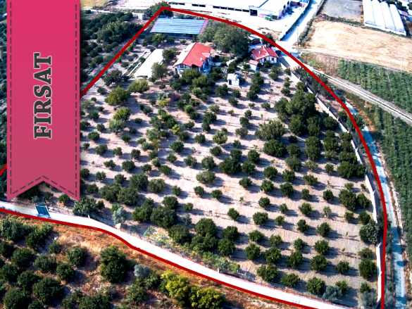 Azmak Koyu Bölgesi 30Kw Ges Sistemli Ekolojik Yaşam Konsepti Satılık Çiftlik Seferihisar Düzce Mah