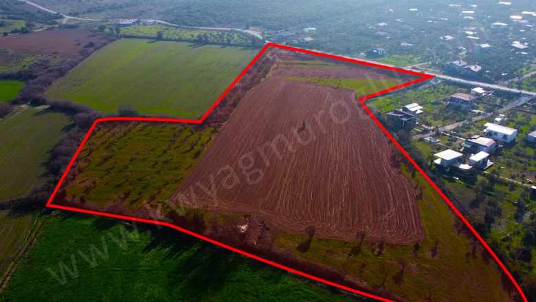 Seferihisar Düzce Azmak Koyu Çiftlik Evine Uygun Satılık Arazi Mah