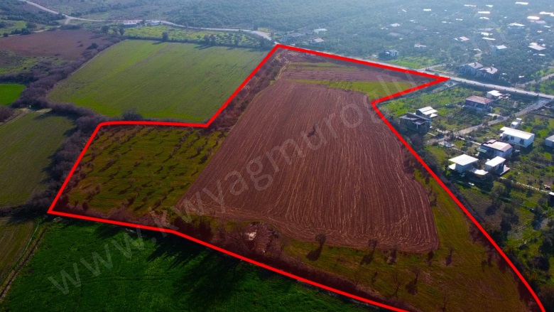 Düzce Mah. Seferihisar Satılık Arazi |  23825M2 87.500.000Tl Resim-2