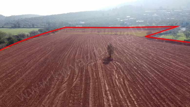 Seferihisar Düzce Azmak Koyu Çiftlik Evine Uygun Satılık Arazi Mah