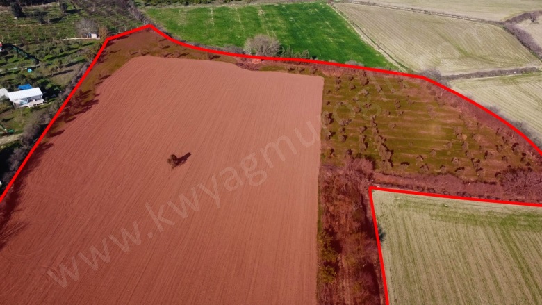 Düzce Mah. Seferihisar Satılık Arazi |  23825M2 87.500.000Tl Resim-4