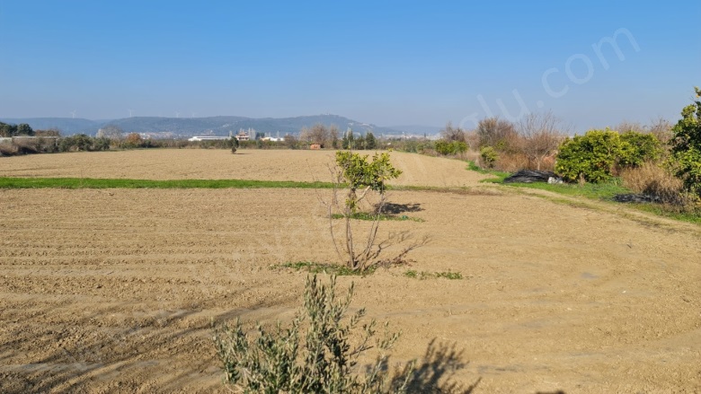 Düzce Mah. Seferihisar Satılık Arazi |  23825M2 87.500.000Tl Resim-5