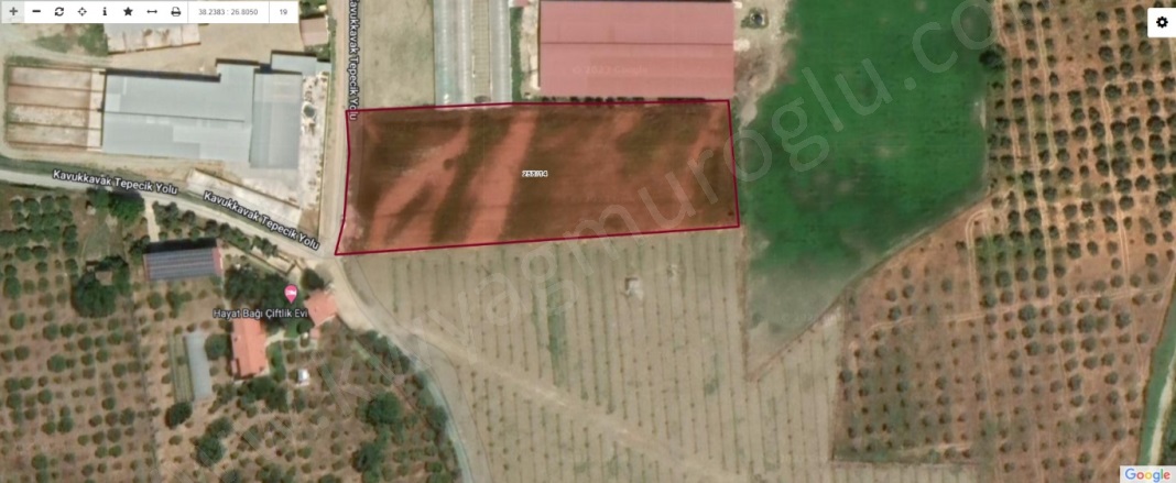 Düzce Mah. Seferihisar Satılık Arazi |  5343M2 16.635.000Tl Resim-1