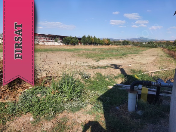 Düzce Mah. Seferihisar Satılık Arazi |  5343M2 16.635.000Tl Resim-4