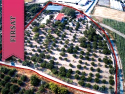 Seferihisar Düzce Mah. Satılık Çiftlik 6+2 250 M2 | Komple Bina | Isı Pompası | 4 Banyo | 6 Yatak Odası