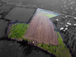 Seferihisar Düzce Mah. Satılık Arazi 23825 M2