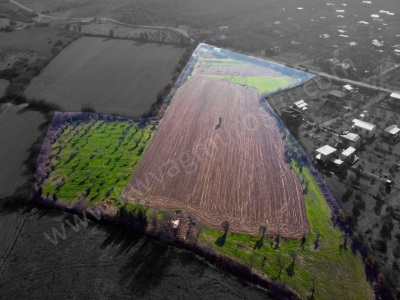 Seferihisar Düzce Azmak Koyu Tiny House Projesi Ya Da Çiftlik Evine Uygun Satılık Arazi Mah