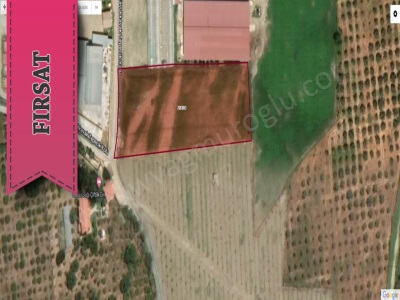 Seferihisar Düzce Ovasında Çiftlik Evine Uygun Satılık Arazi Tarla Mah