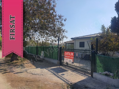 Daire Fiyatına Evi Ve Ege Sahil Kasabası Yaşamı Satılık Çiftlik Seferihisar Düzce Mah