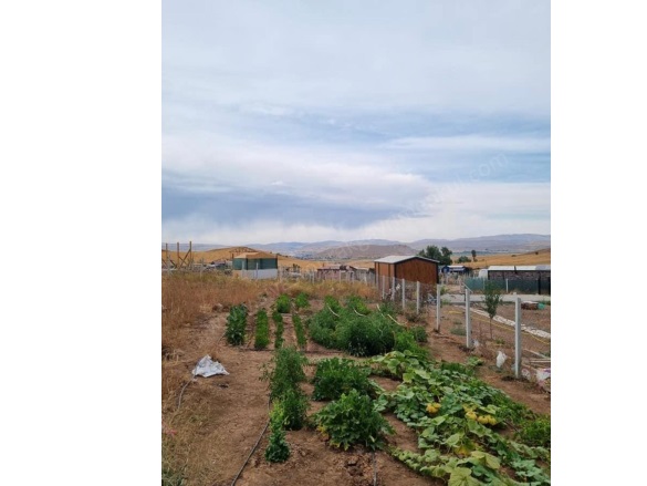 İşhanı Köyü Sivas Satılık Tarla |  800M2 750.000Tl Resim-2