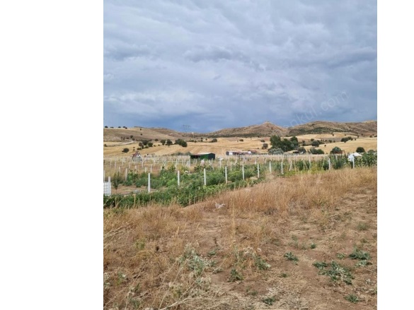 İşhanı Köyü Sivas Satılık Tarla |  800M2 750.000Tl Resim-3