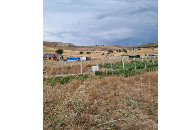 İşhanı Köyü Sivas Satılık Tarla |  800M2 750.000Tl Resim-4