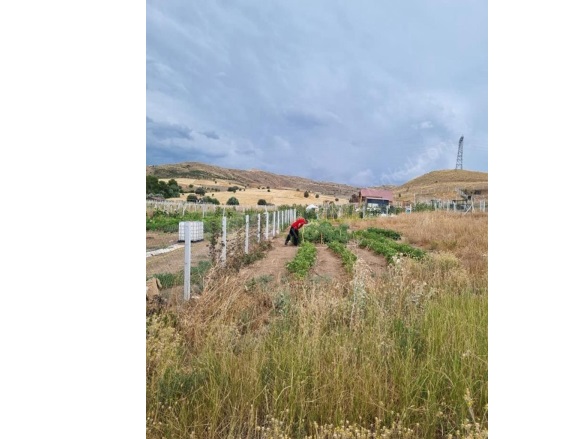 İşhanı Köyü Sivas Satılık Tarla |  800M2 750.000Tl Resim-5