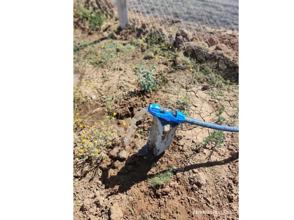 Yenice Köyü Sivas Satılık Tarla |  1080M2 980.000Tl Resim-1