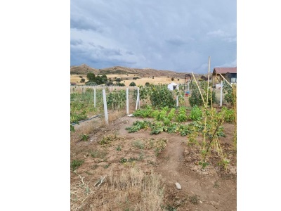 Sivas İşhanda Satılık Tarla Merkez İşhanı Köyü