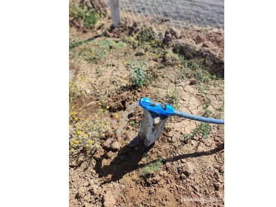 Sivas Manzaralı Yenicede 1080 Metre Satılık Tarla Merkez Yenice Köyü