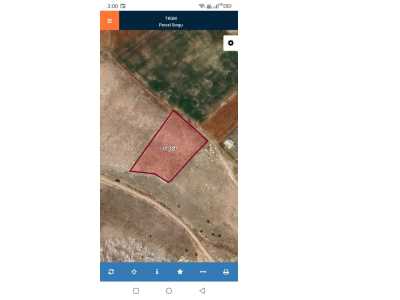 Sivas Uzuntepede 3794 M2 Satılık Tarla Merkez Uzuntepe Mah