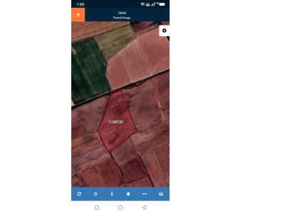 Sivas Toprak Gayrimenkul Den Sinekli De Satılık Tarla Lar Merkez Düzova Köyü