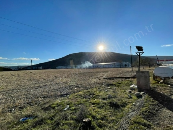 Alva Köyü Eldivan Satılık Arazi |  108104M2 340.000.000Tl İmarlı  Resim-4