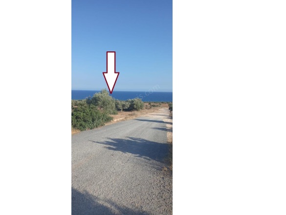 Boltaslı Boltaslı Satılık Tarla |  25000M2 28.000£ Resim-1