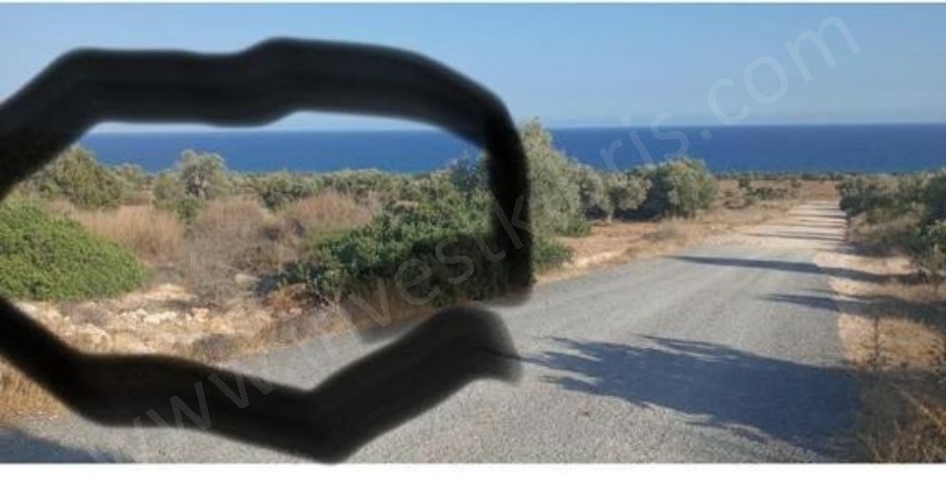 Boltaslı Boltaslı Satılık Tarla |  25000M2 28.000£ Resim-3