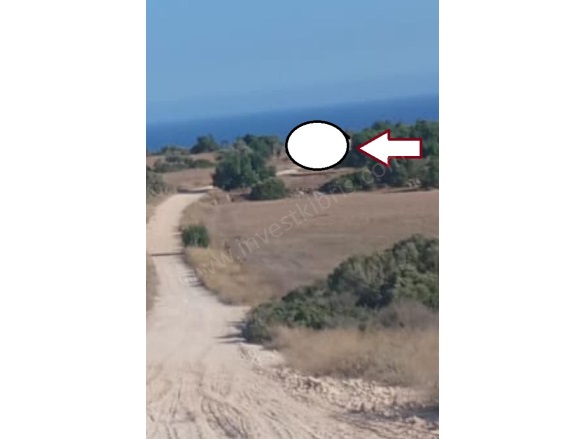 Boltaslı Boltaslı Satılık Tarla |  25000M2 28.000£ Resim-4