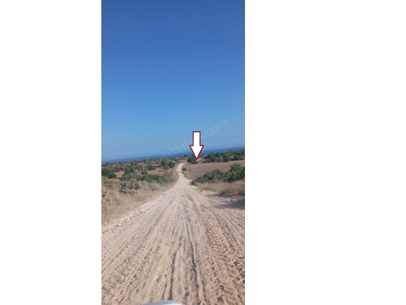 Boltaslı Boltaslı Satılık Tarla |  25000M2 28.000£ Resim-5