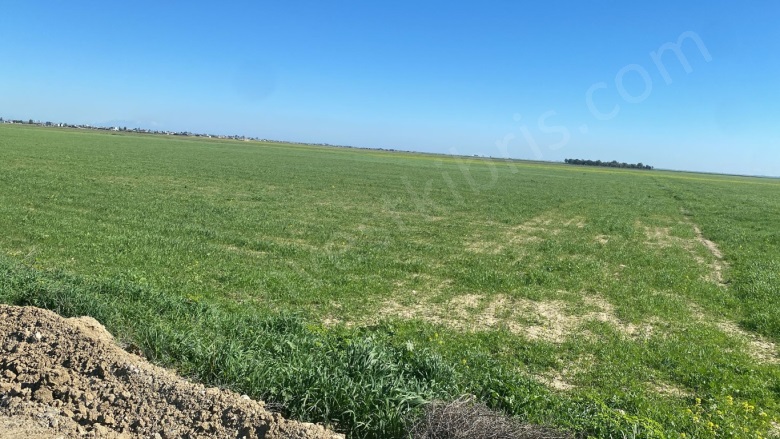 Merkez Dörtyol Satılık Arazi |  64222M2 27.500£ İmarlı  Resim-4