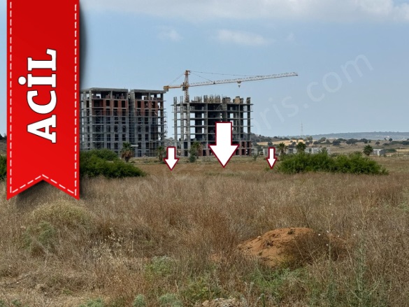 Bafra  Bafra  Acil Satılık Tarla |  65000M2 31.500£ Resim-1