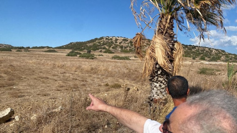 Bafra  Bafra  Acil Satılık Tarla |  65000M2 31.500£ Resim-3