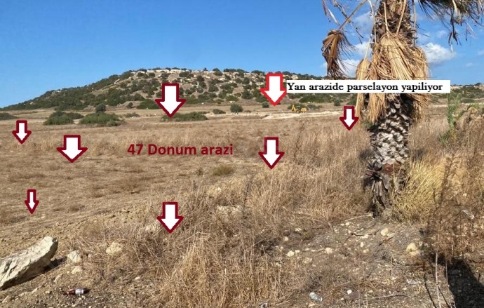 Bafra  Bafra  Acil Satılık Tarla |  65000M2 31.500£ Resim-4