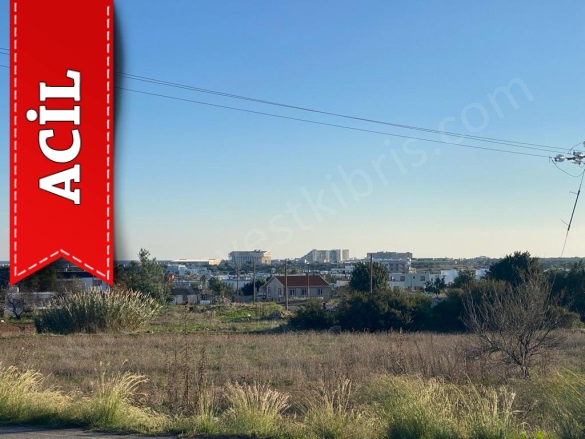 Bafra  Bafra  Acil Satılık Tarla |  65000M2 31.500£ Resim-5