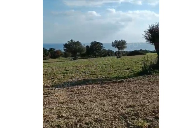 Kaleburnu  Kaleburnu  Satılık Tarla |  18733M2 14.500£ Resim-3