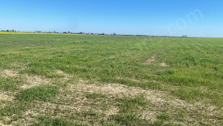 Merkez Dörtyol Satılık Tarla |  16100M2 21.500£ İmarlı  Resim-2