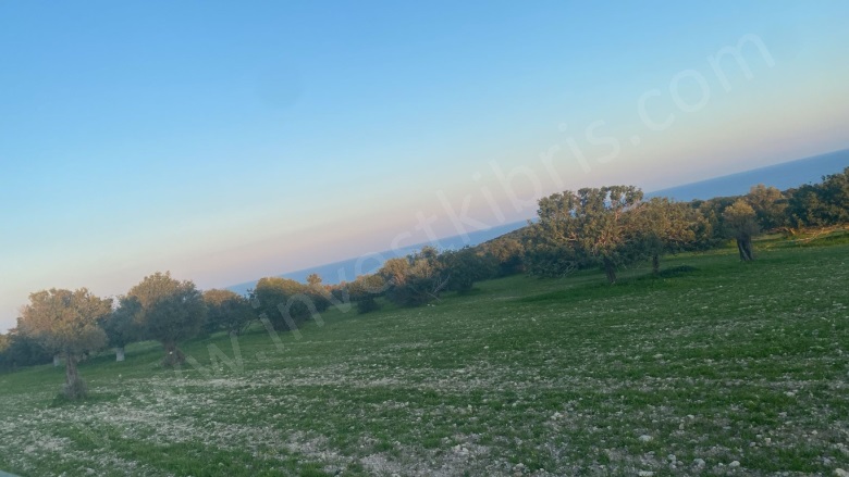 Kaleburnu  Kaleburnu  Satılık Tarla |  18777M2 12.000£ Resim-3