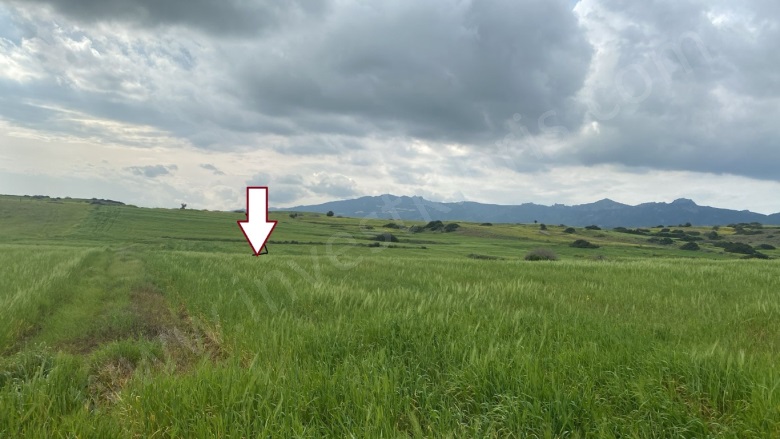 Buyukkonuk  Buyukkonuk Satılık Tarla |  40500M2 6.500£ Resim-1