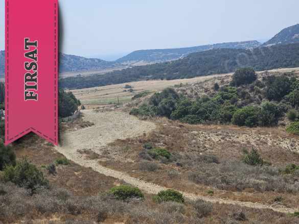 Türk Koçanlı Ye Yatırım Fırsatı Resmi Yol Mevcut Satılık Arazi Kuruova