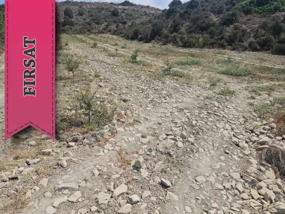 Türk Koçanlı Ye Yatırım Fırsatı Resmi Yol Mevcut Satılık Arazi Kuruova
