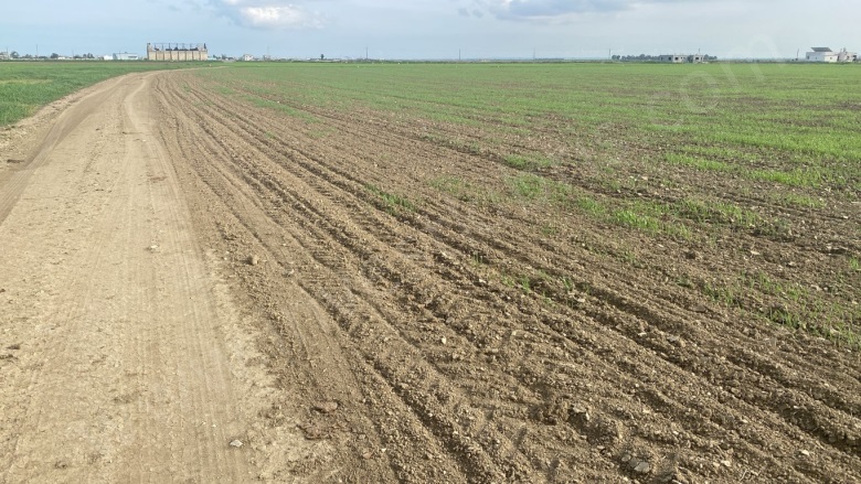 Dörtyol Dörtyol Satılık Arazi |  45450M2 27.500£ İmarlı  Resim-2