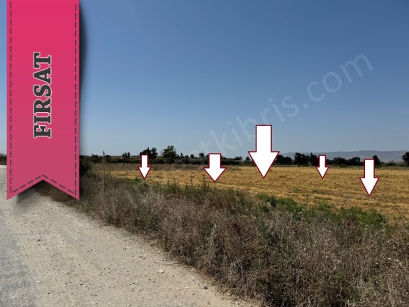 Kuzucuk Kuzucuk Satılık Arazi |  13388M2 48.500£ İmarlı  Resim-1