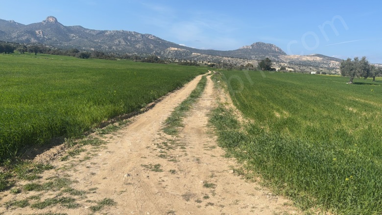 Kilitkaya Kilitkaya Satılık Arazi |  13388M2 25.000£ İmarlı  Resim-3