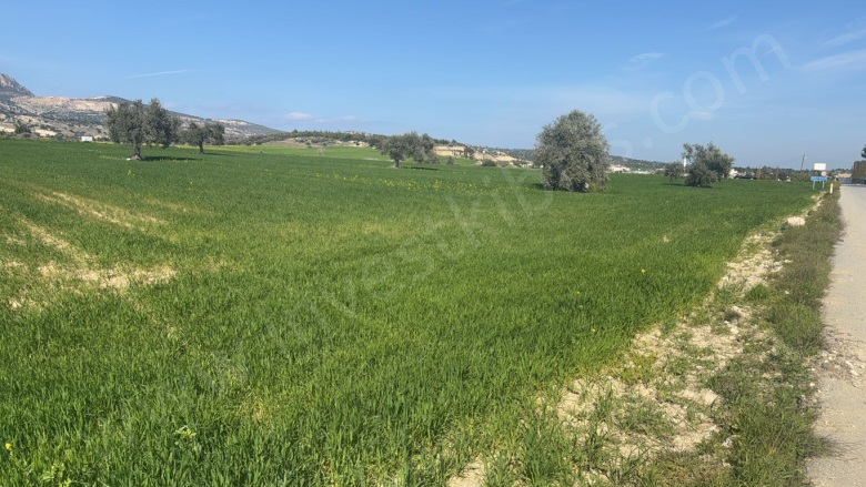 Kilitkaya Kilitkaya Satılık Arazi |  13388M2 25.000£ İmarlı  Resim-5