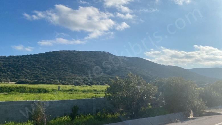 Balalan  Balalan  Satılık Tarla |  16500M2 20.000£ Resim-2