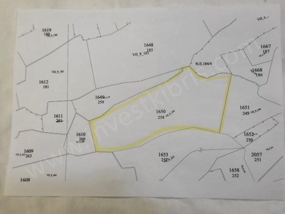 Balalan  Balalan  Satılık Tarla |  16500M2 20.000£ Resim-3